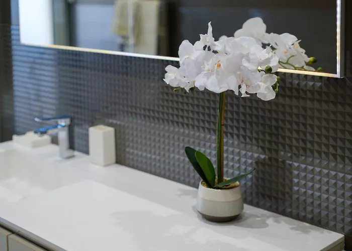 Avec Clim Et Terrasse Apartment