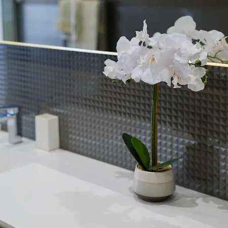 Avec Clim Et Terrasse דירה